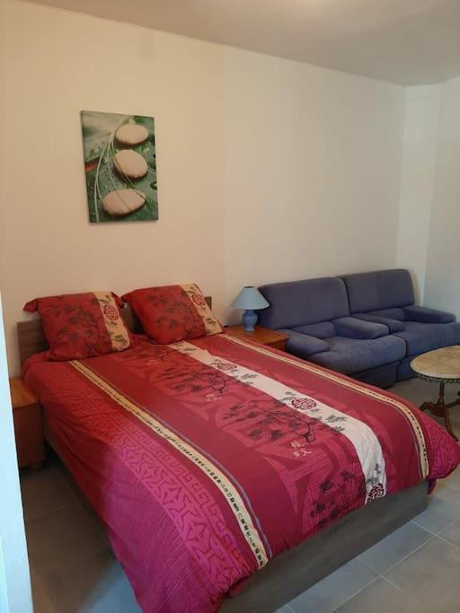 Confortable En Hyper Centre Parking Gratuit Dans La Rue Acces Avec Boite A Clee Apartment Castres  Exterior foto